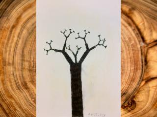 Disegnare un albero