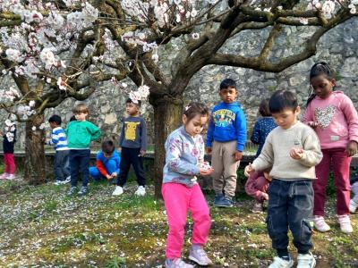 Spring is in the air!