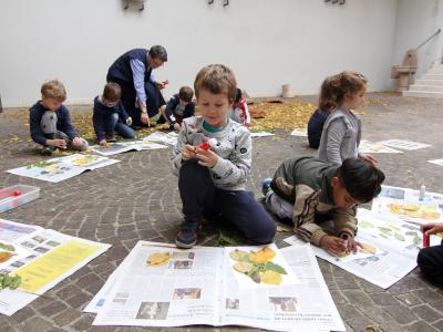 Biblioteca Campostrini