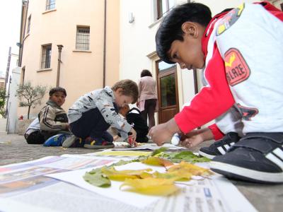 Biblioteca Campostrini