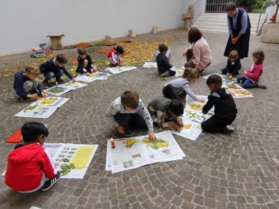 Biblioteca Campostrini