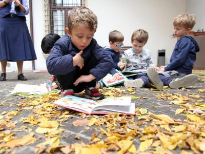 Biblioteca Campostrini