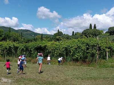 Una giornata indimenticabile