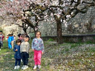 Spring is in the air!