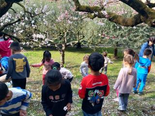 Spring is in the air!