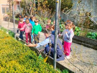 Spring is in the air!