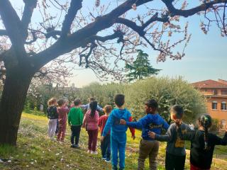 Spring is in the air!