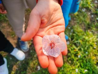 Spring is in the air!