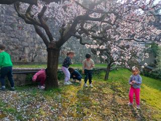 Spring is in the air!