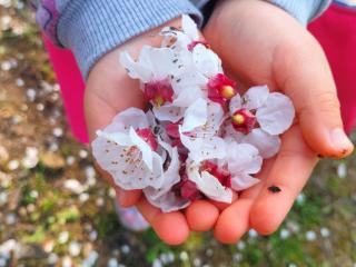 Spring is in the air!