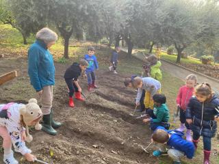 L'orto didattico - Primaria Verona