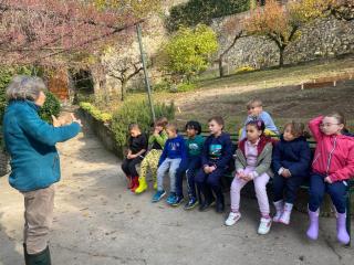 L'orto didattico - Primaria Verona