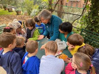 L'orto didattico - Primaria Verona