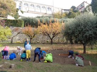 L'orto didattico - Primaria Verona