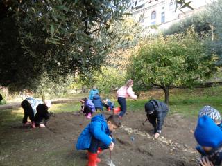 L'orto didattico - Primaria Verona