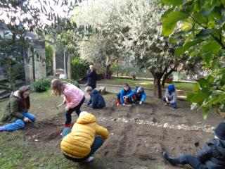 L'orto didattico - Primaria Verona