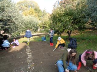 L'orto didattico - Primaria Verona