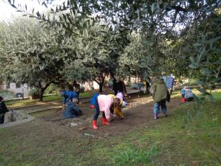 L'orto didattico - Primaria Verona