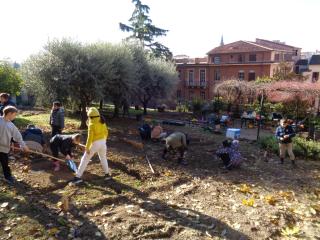 L'orto didattico - Primaria Verona