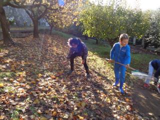 L'orto didattico - Primaria Verona