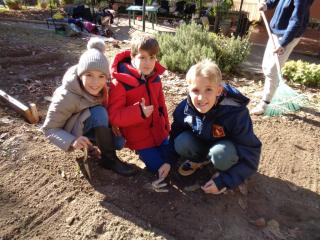 L'orto didattico - Primaria Verona