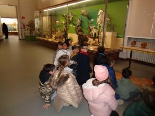 "Un salto nella preistoria"