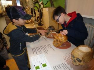 "Un salto nella preistoria"