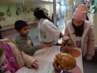 "Un salto nella preistoria"