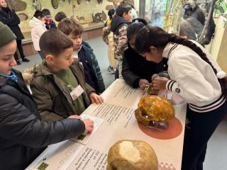 "Un salto nella preistoria"