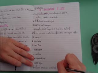 Formazione alla salute