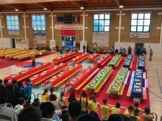 Campionati Scacchi - Fase provinciale