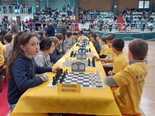 Campionati Scacchi - Fase provinciale