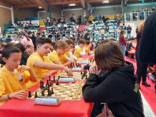 Campionati Scacchi - Fase provinciale