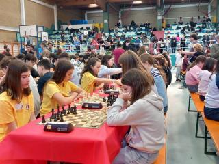 Campionati Scacchi - Fase provinciale