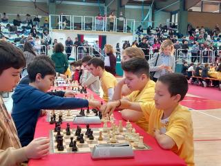 Campionati Scacchi - Fase provinciale