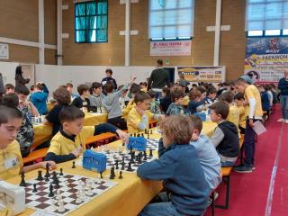 Campionati Scacchi - Fase provinciale