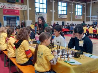 Campionati Scacchi - Fase provinciale