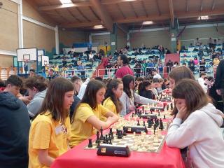 Campionati Scacchi - Fase provinciale
