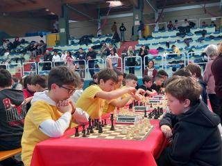 Campionati Scacchi - Fase provinciale
