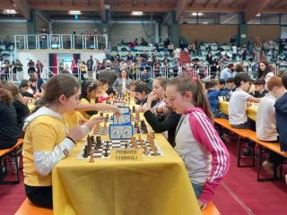 Campionati Scacchi - Fase provinciale