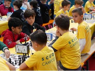 Campionati Scacchi - Fase provinciale