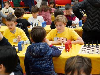 Campionati Scacchi - Fase provinciale