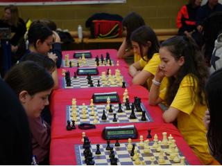 Campionati Scacchi - Fase provinciale