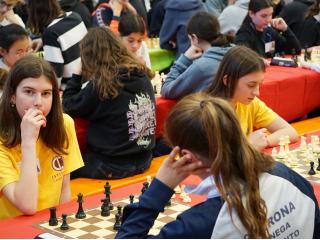 Campionati Scacchi - Fase provinciale