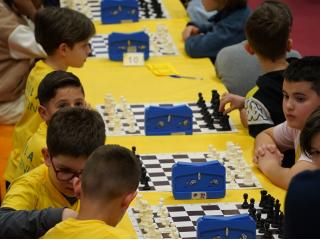 Campionati Scacchi - Fase provinciale