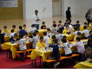 Campionati Scacchi - Fase provinciale