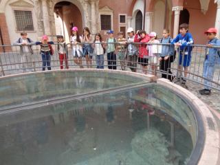 Visita guidata per Verona romana 