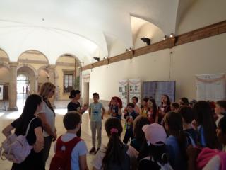 Visita al Museo di Storia naturale