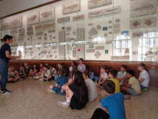 Visita al Museo di Storia naturale