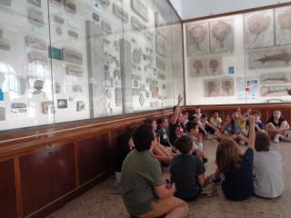 Visita al Museo di Storia naturale